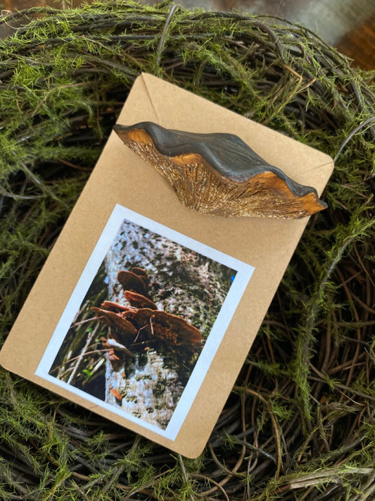 Hand-Painted, Hand-Sculpted Tree Mushroom Brooch Pin