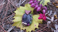 Mystical Carved Amethyst and Vines